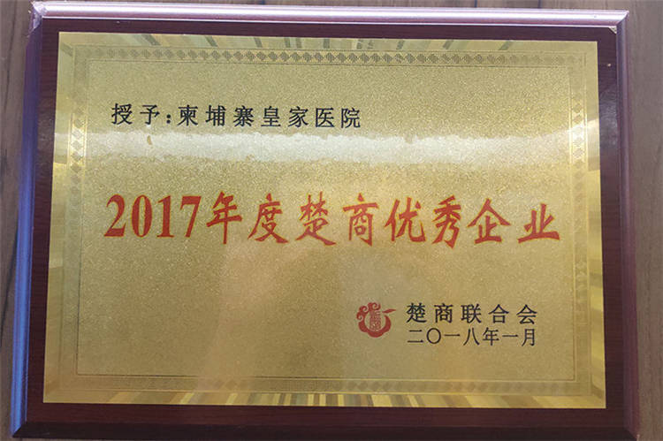 湖北省楚商联合会“2017年度楚商优秀企业”荣誉称号